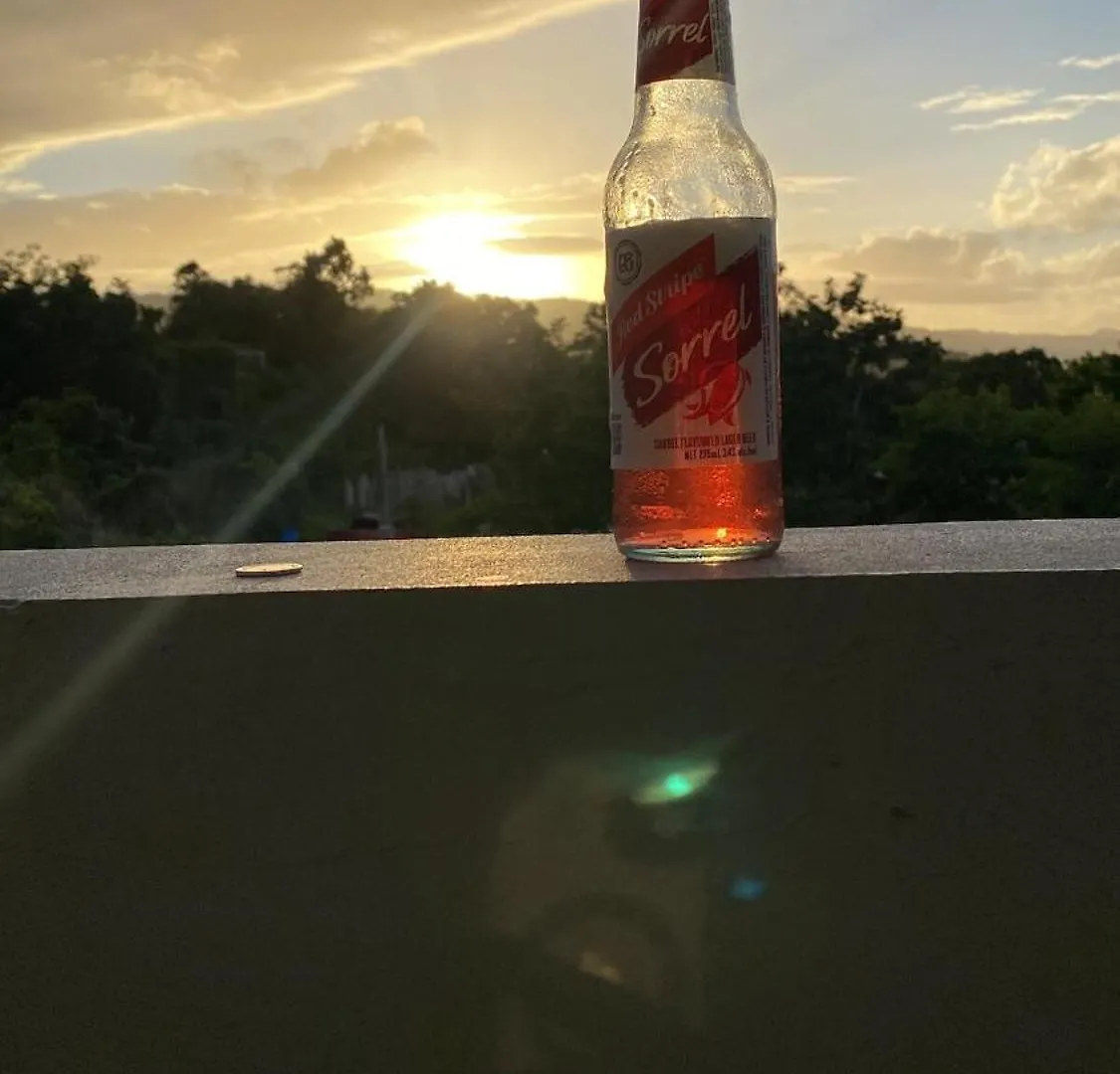 Apartman Ocean View Sunset 5Mins Blue Hole 10Mins Beach Ocho Rios Jamaica